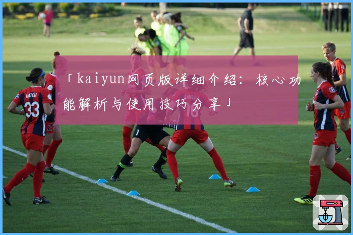 「kaiyun网页版详细介绍：核心功能解析与使用技巧分享」